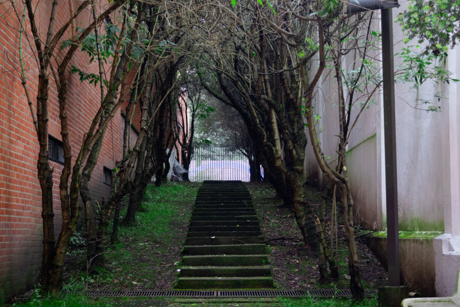 Universidad Cooperativa de Colombia: fotografía 6 del registro del proyecto MTE