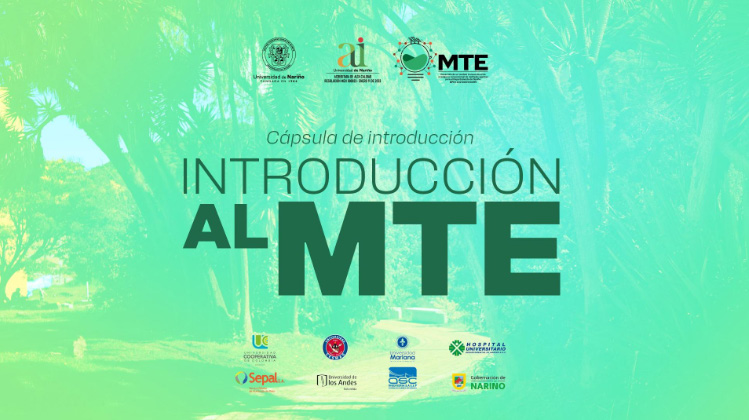 Cápsula de introducción al MTE