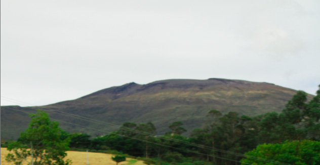 Paisaje de montaña con bosque